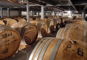 Barrels in a wine cellar or storage facility for wine aging.