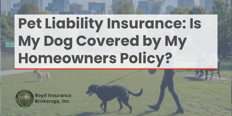 Dog liability pet insurance Spokane WA for home owners.