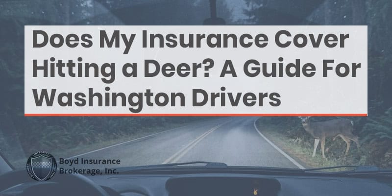 Guide for Washington drivers on insurance coverage when hitting a deer, featuring Boyd Insurance branding and a deer on a rural road.